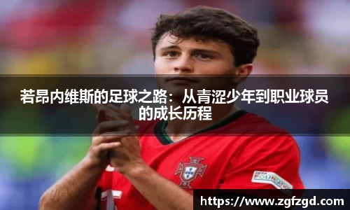 k1体育官网